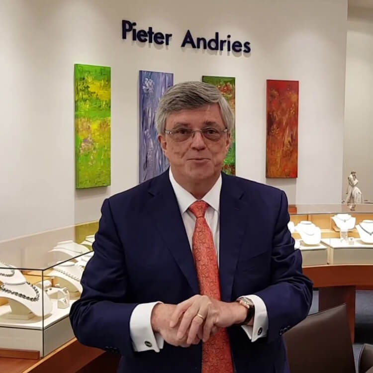 Pieter Andries